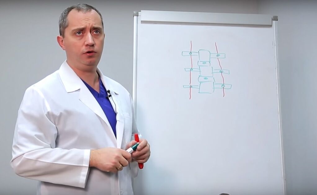 O médico mostra a estrutura da coluna